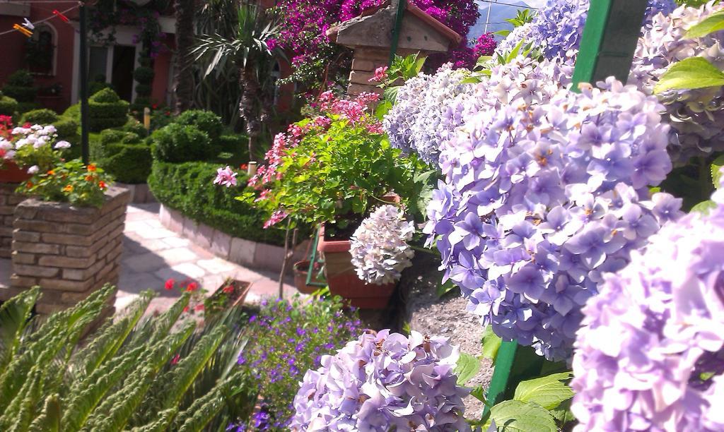 Apartment City Garden Kotor Ruang foto